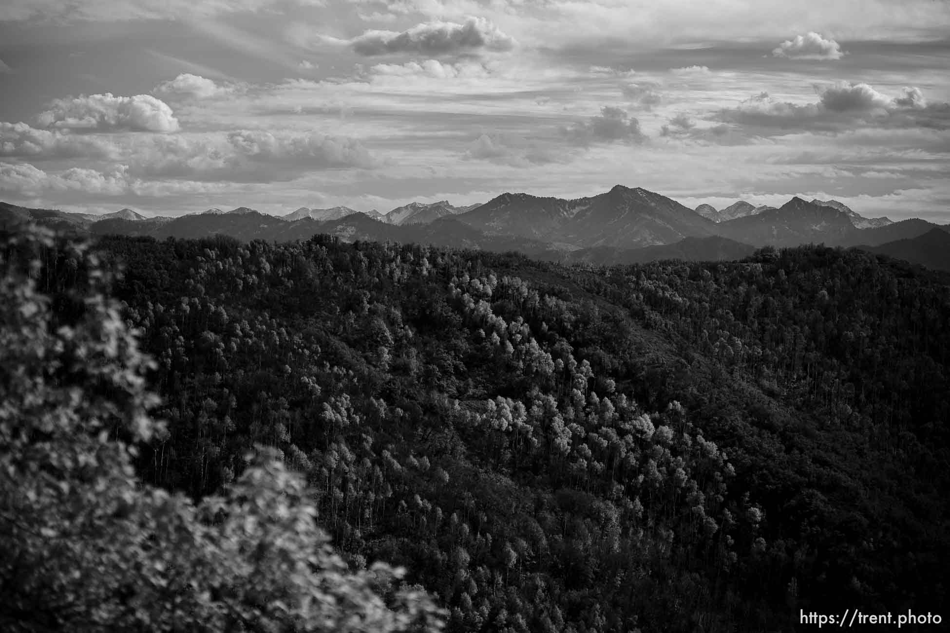 Fall colors, Big Mountain Summit on Tuesday, Oct. 10, 2023.