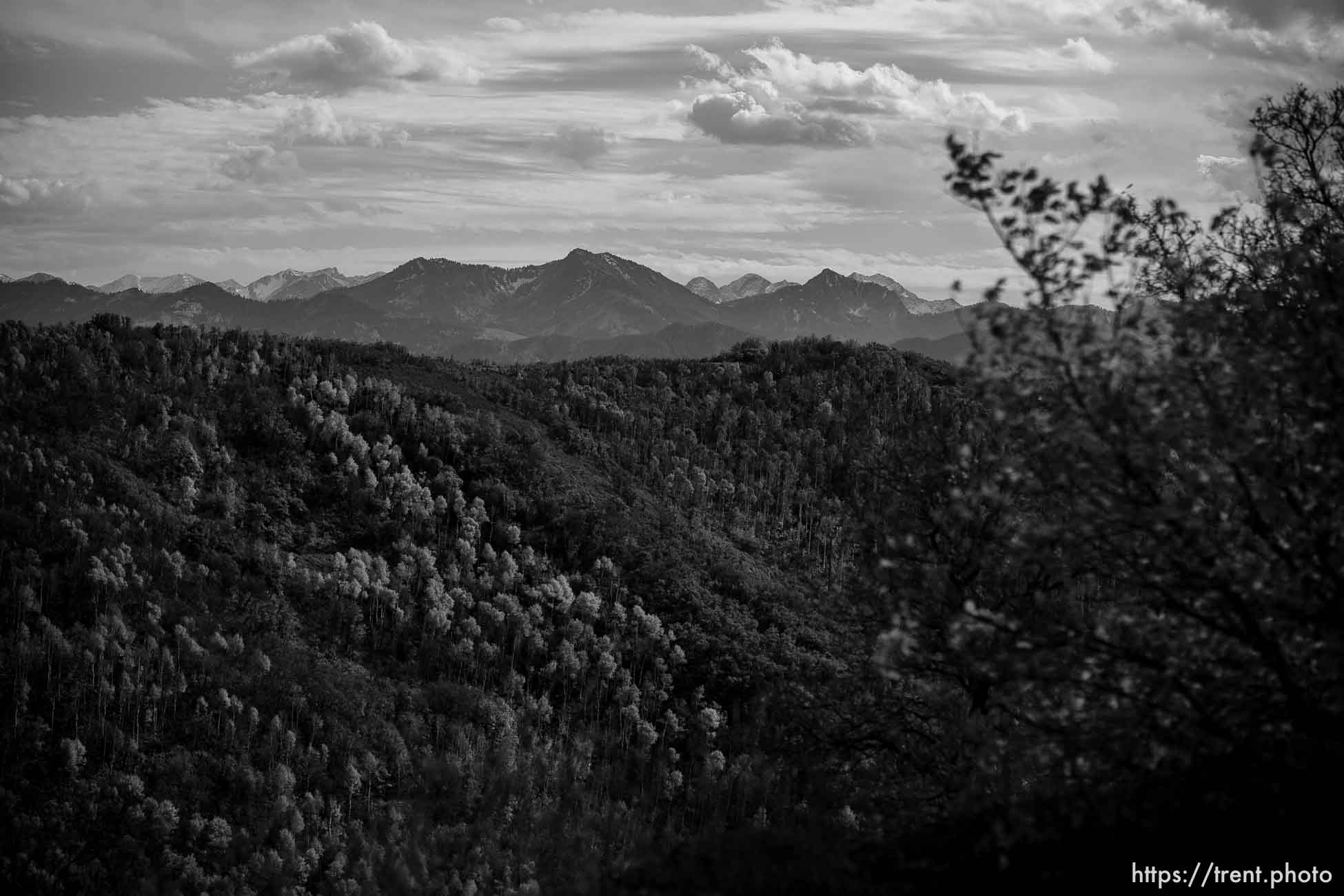 Fall colors, Big Mountain Summit on Tuesday, Oct. 10, 2023.