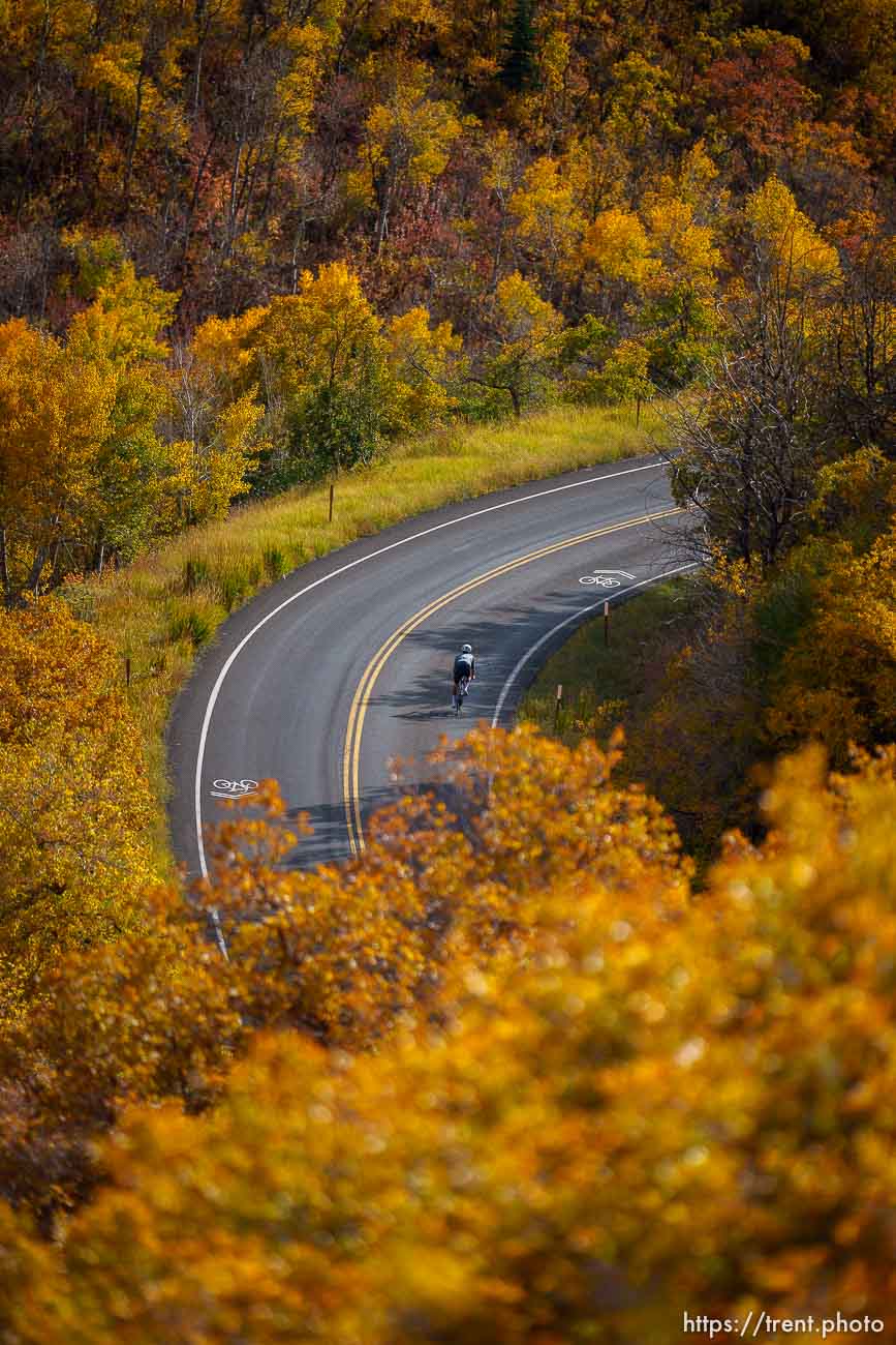 Fall colors, Big Mountain Summit on Tuesday, Oct. 10, 2023.