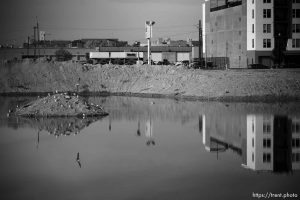 (Trent Nelson | The Salt Lake Tribune) The small lake that has formed at the site of the old Sears property on State Street in Salt Lake City on Wednesday November 1, 2023.