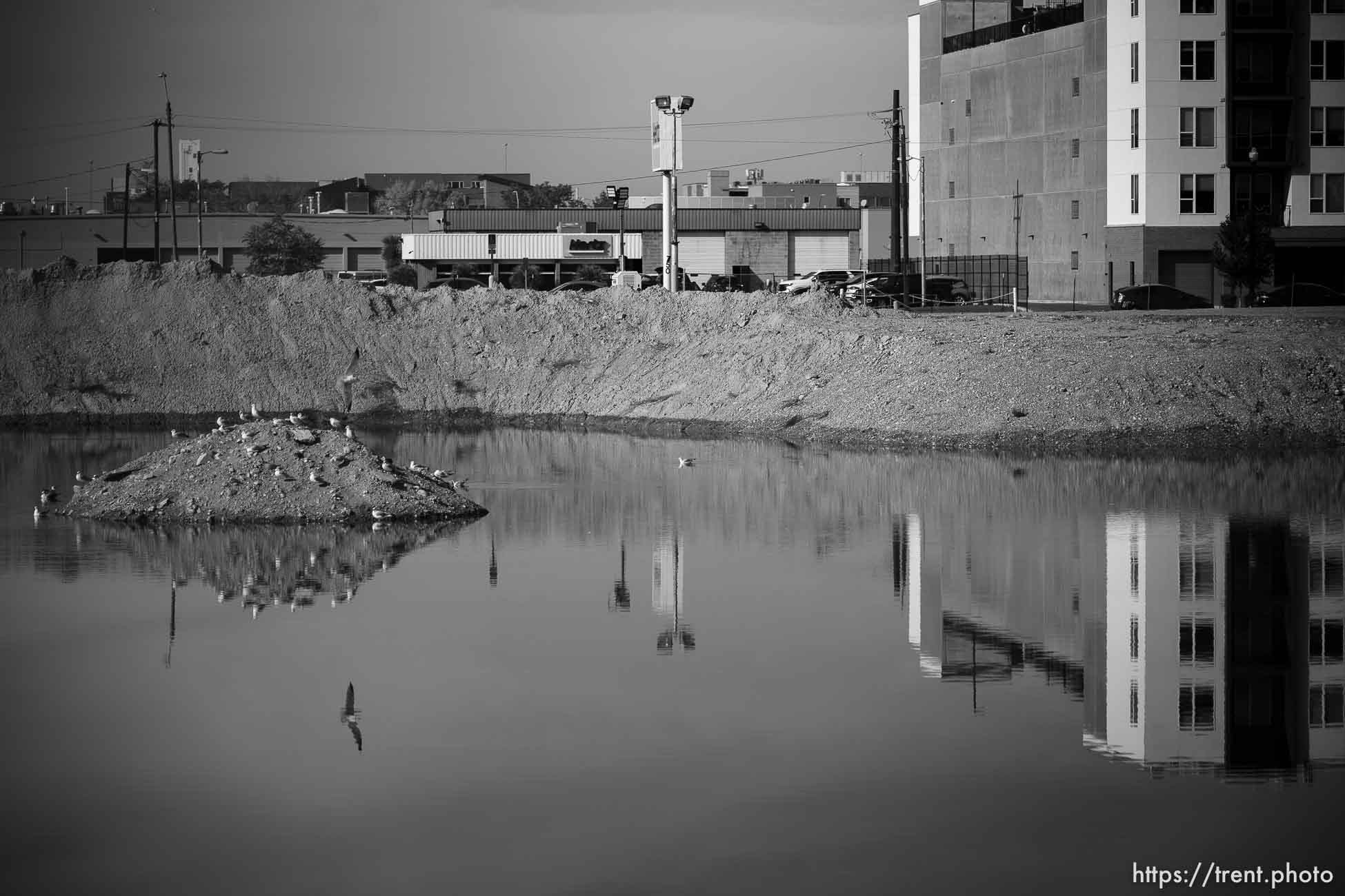 (Trent Nelson | The Salt Lake Tribune) The small lake that has formed at the site of the old Sears property on State Street in Salt Lake City on Wednesday November 1, 2023.