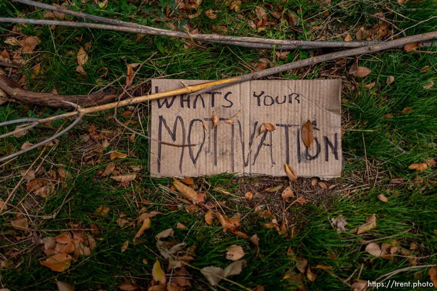 what's your motivation cardboard sign, Monday November 6, 2023.