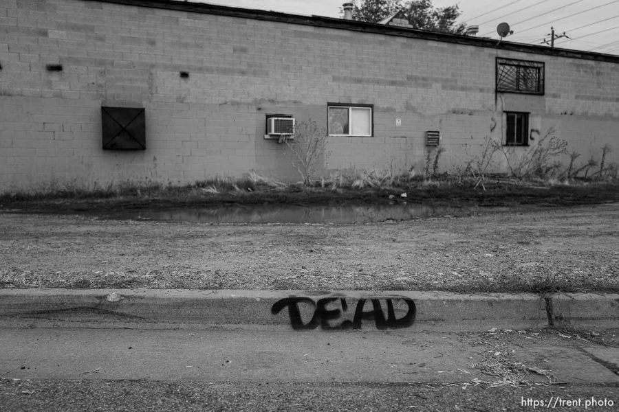 dead graffiti, Monday November 6, 2023.
