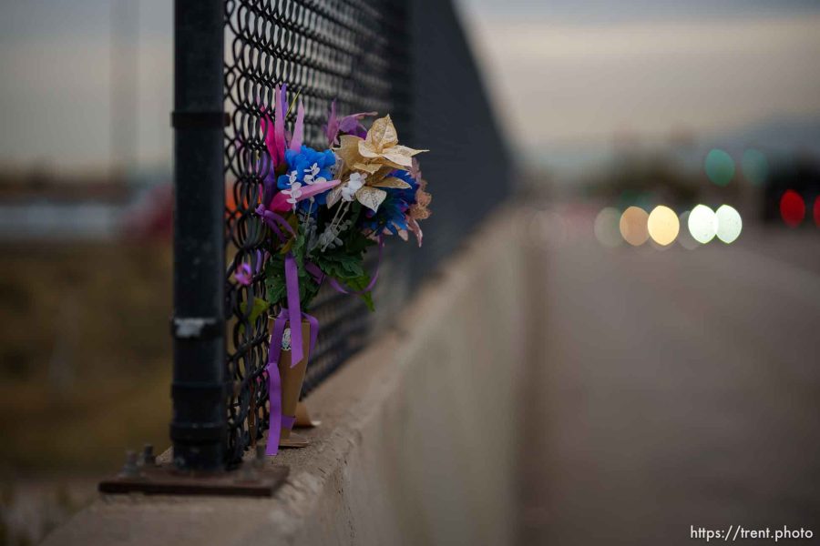 memorial for Vanessa, freeway overpass, Monday November 6, 2023.
