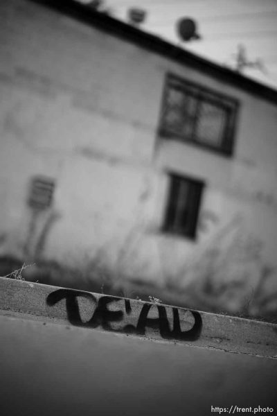 dead graffiti, Monday November 6, 2023.
