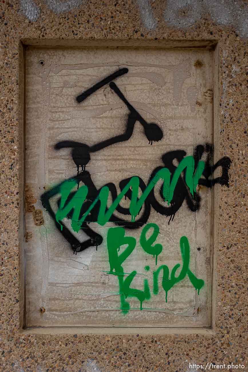 thistle, graffiti, Tuesday November 7, 2023.