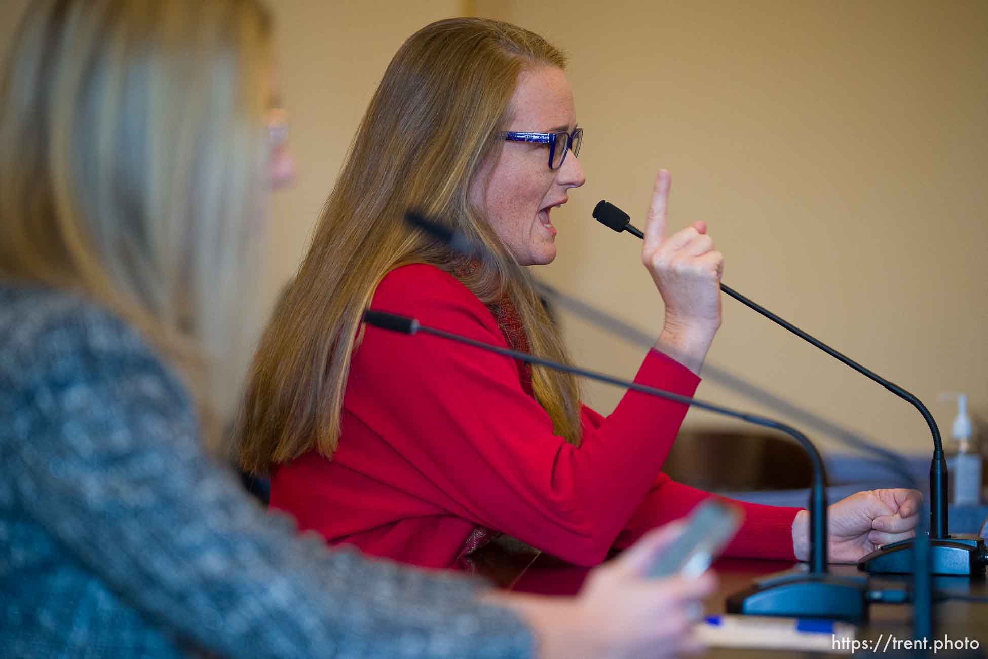 (Trent Nelson  |  The Salt Lake Tribune) Brooke Stephens speaks in favor of removing books from school libraries during a meeting of the Education Interim Committee in Salt Lake City on Wednesday, Nov. 15, 2023.