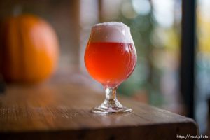 (Trent Nelson  |  The Salt Lake Tribune) Strawberry Zinfandel Sour at Hopkins Brewing Company in Salt Lake City on Thursday, Nov. 16, 2023.