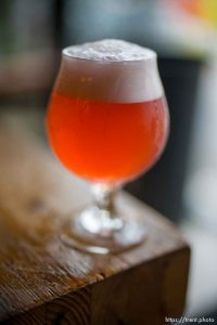 (Trent Nelson  |  The Salt Lake Tribune) Strawberry Zinfandel Sour at Hopkins Brewing Company in Salt Lake City on Thursday, Nov. 16, 2023.