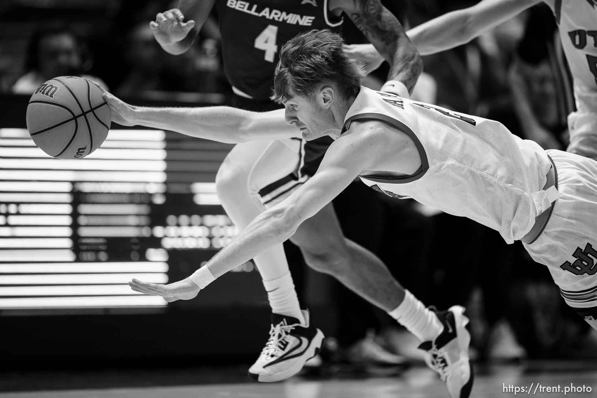 (Trent Nelson  |  The Salt Lake Tribune) Utah Utes guard Cole Bajema (2) as Utah hosts Bellarmine, NCAA basketball in Salt Lake City on Wednesday, Dec. 20, 2023.