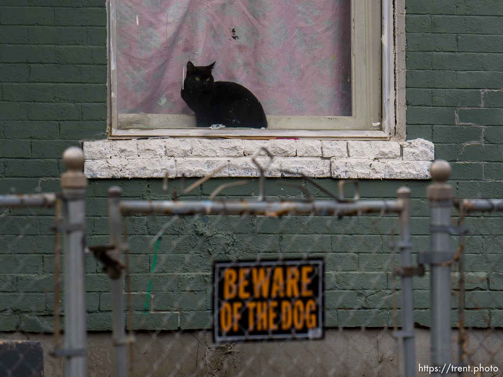 Black cat in window, beware of dog sign, Salt Lake City on Wednesday, Jan. 3, 2024.