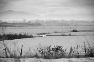 (Trent Nelson  |  The Salt Lake Tribune) Haze in Wellsville, Cache Valley on Thursday, Feb. 1, 2024.