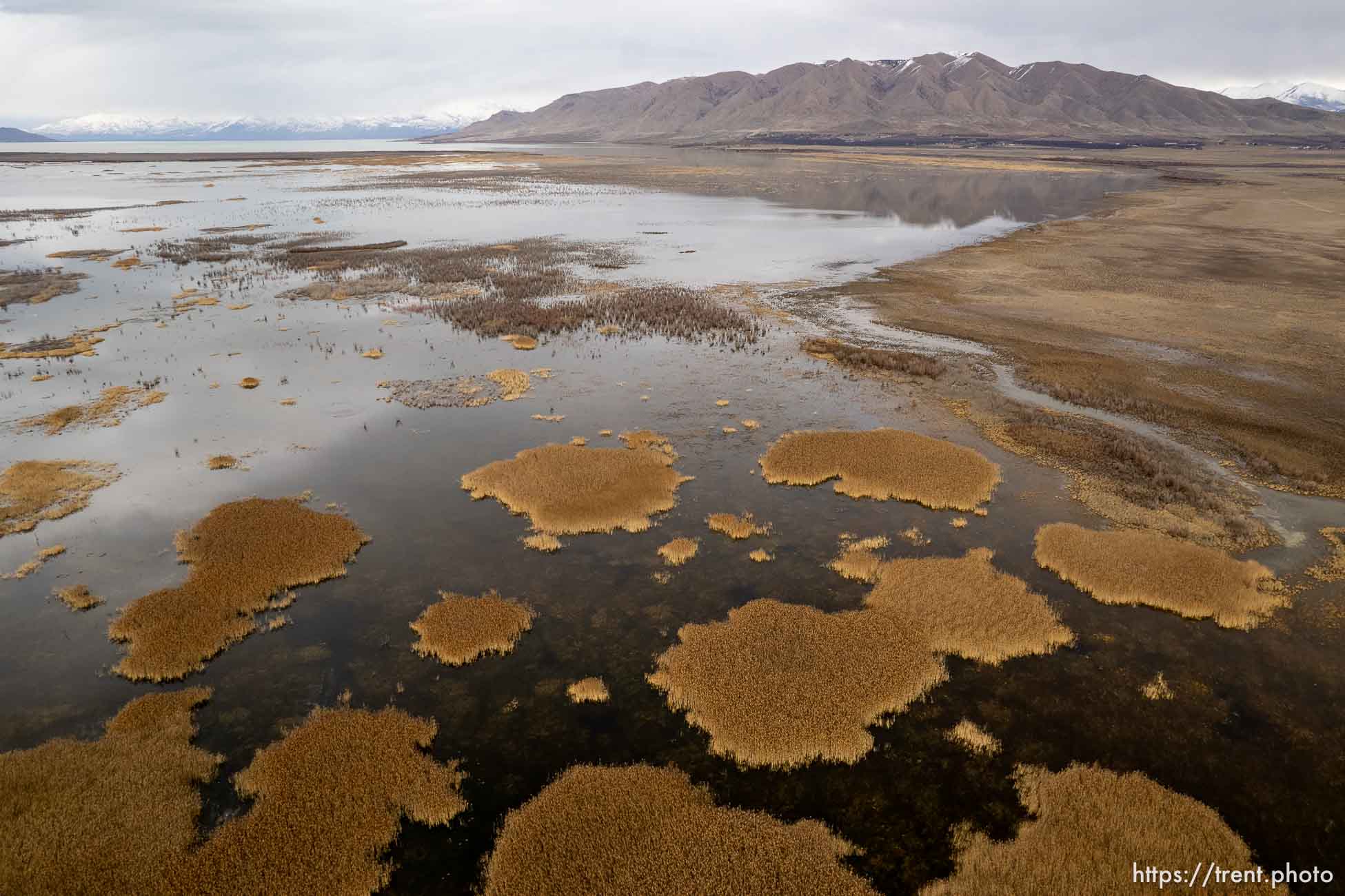 (Trent Nelson  |  The Salt Lake Tribune) Wetlands at Goshen Bay, on the south end of Utah Lake, on Monday, Feb. 19, 2024.
