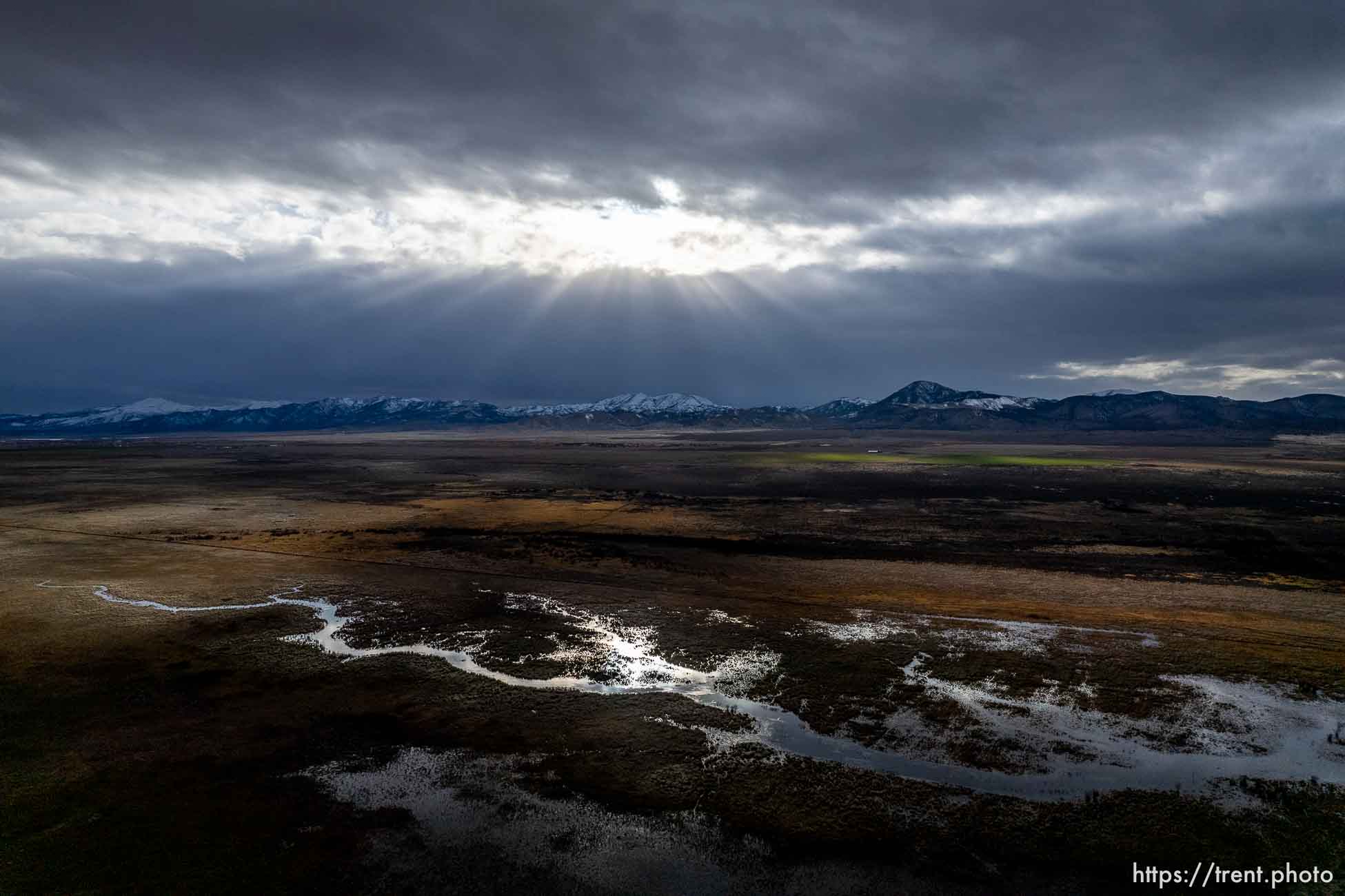 (Trent Nelson  |  The Salt Lake Tribune) Wetlands at Goshen Bay, on the south end of Utah Lake, on Monday, Feb. 19, 2024.