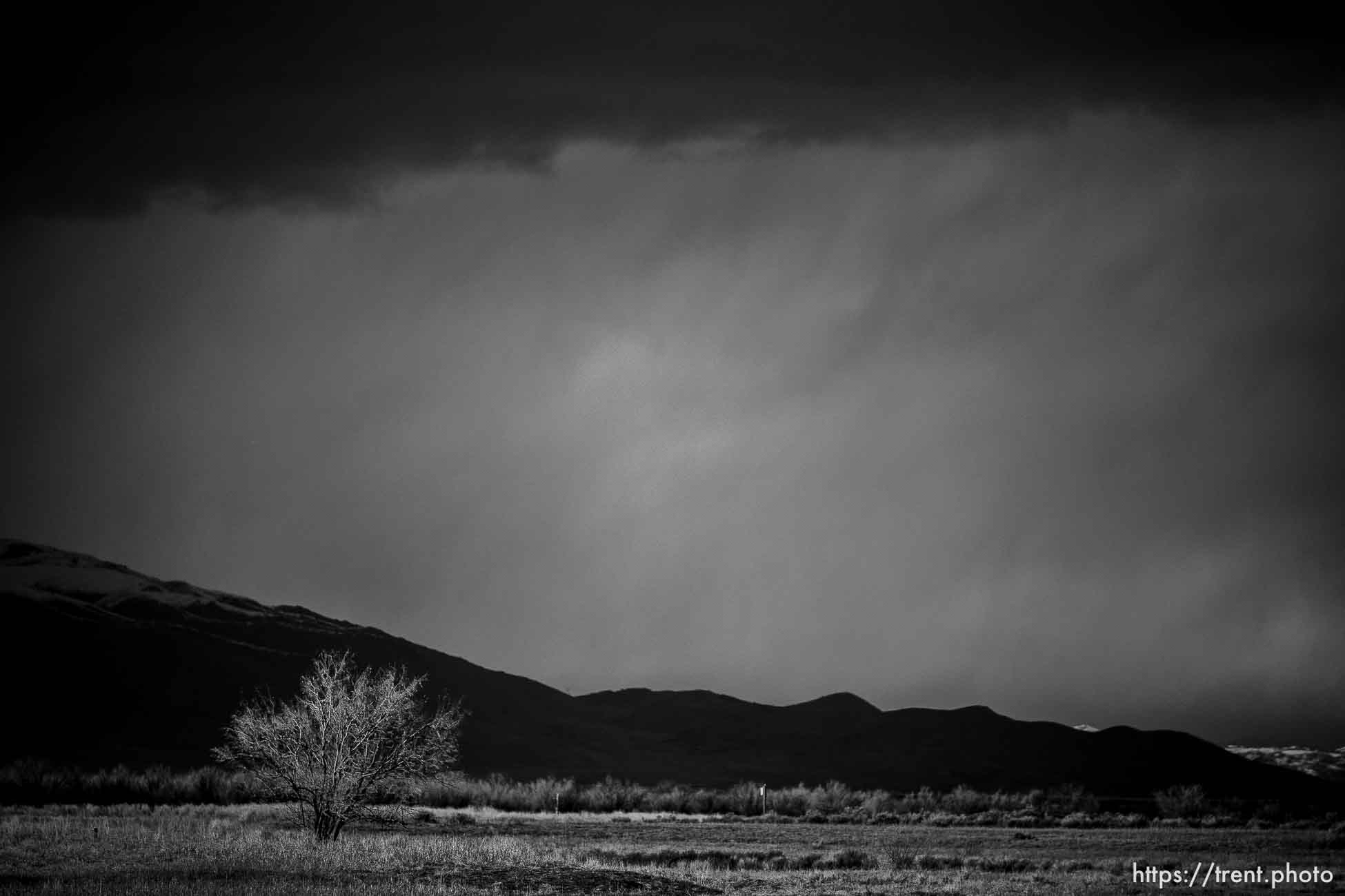Desert Storms