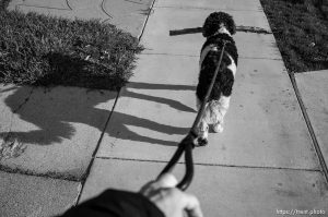 Ruby with big stick on a walk on Wednesday, April 10, 2024.