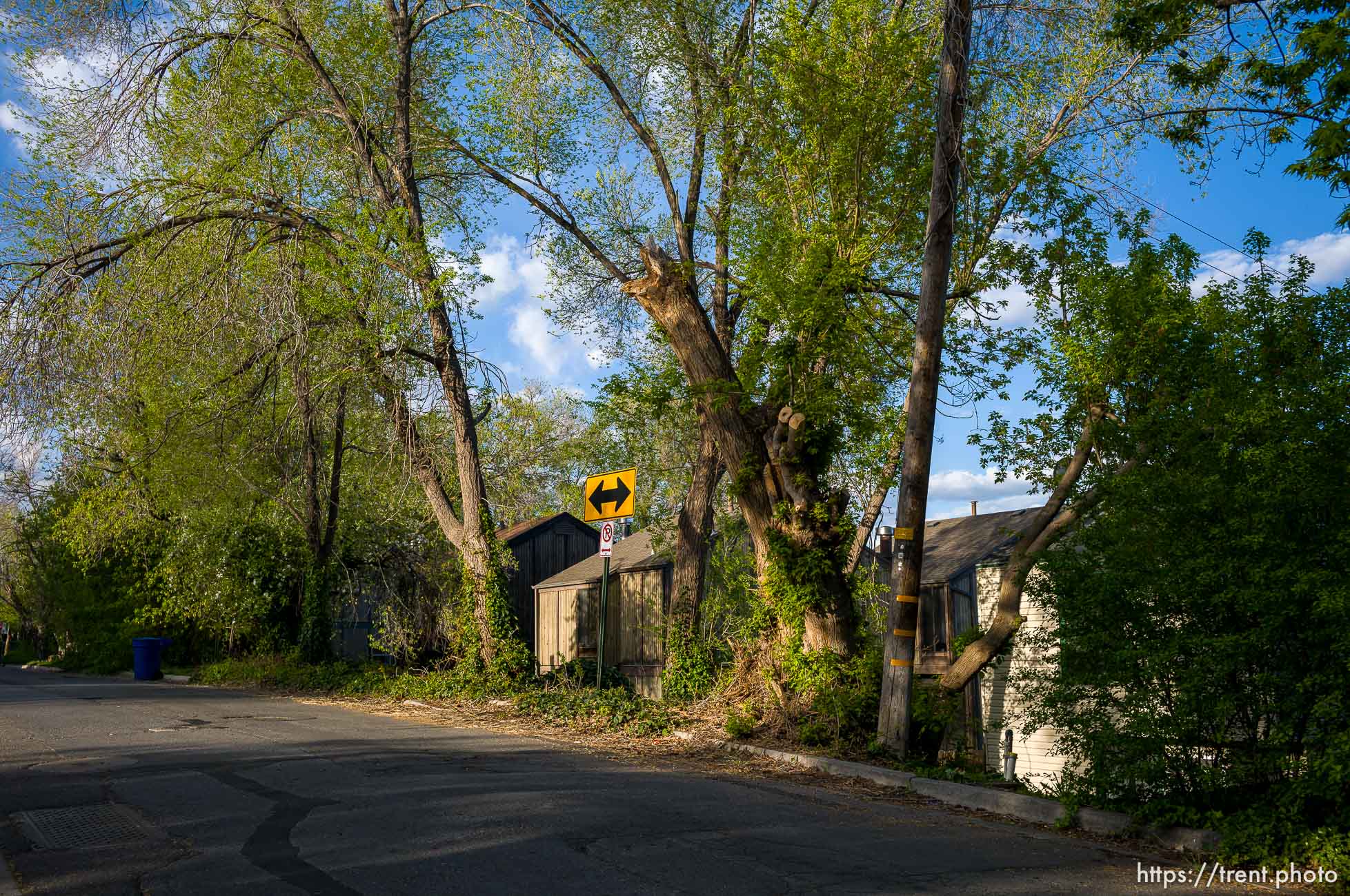 on a walk, in Salt Lake City on Wednesday, April 24, 2024.