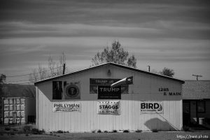 Trump signs, Wellington, on Tuesday, April 30, 2024.