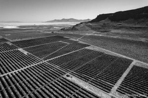 (Trent Nelson  |  The Salt Lake Tribune) Horseshoe Solar in Tooele County on Monday, June 24, 2024.