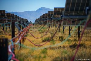 (Trent Nelson  |  The Salt Lake Tribune) The Elektron Solar Project in Tooele County on Monday, June 24, 2024.