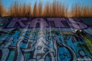 abandoned skate park, bike trail in Ogden on Tuesday, July 2, 2024.