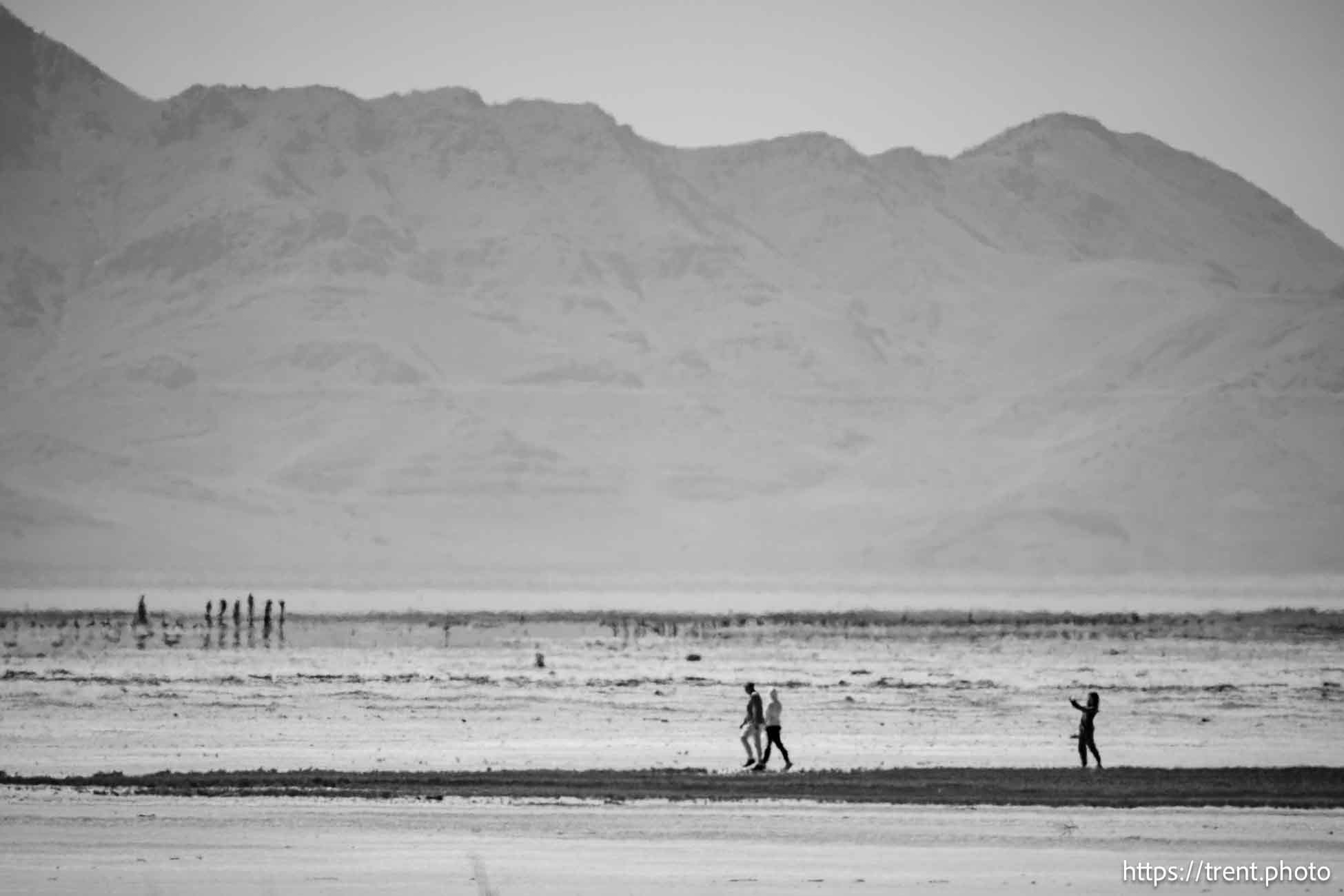 (Trent Nelson | The Salt Lake Tribune) The wide shore of the Great Salt Lake on Thursday, July 25, 2024.