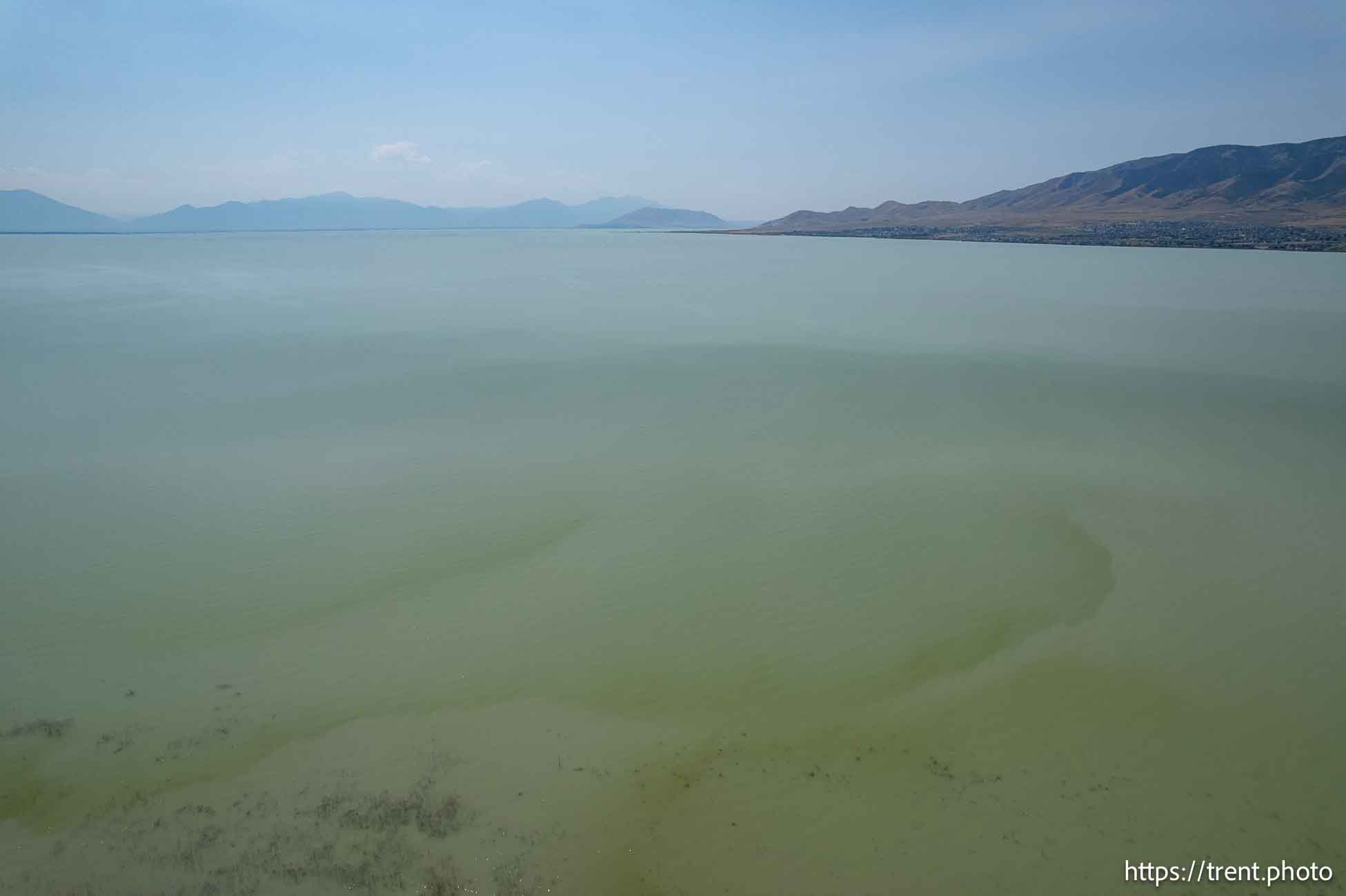 (Trent Nelson  |  The Salt Lake Tribune) The north shore of Utah Lake on the border of Lehi and Saratoga Springs on Saturday, July 27, 2024.