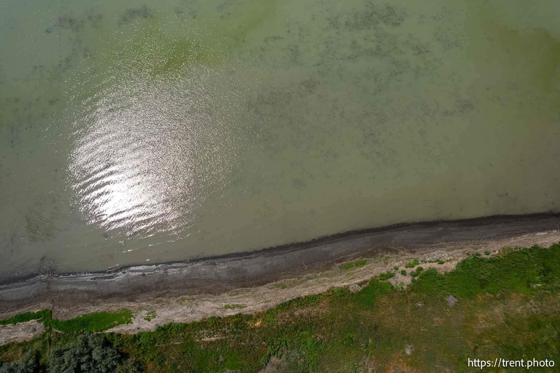 (Trent Nelson  |  The Salt Lake Tribune) The north shore of Utah Lake on the border of Lehi and Saratoga Springs on Saturday, July 27, 2024.