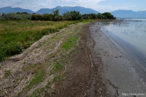 (Trent Nelson  |  The Salt Lake Tribune) The north shore of Utah Lake on the border of Lehi and Saratoga Springs on Saturday, July 27, 2024.