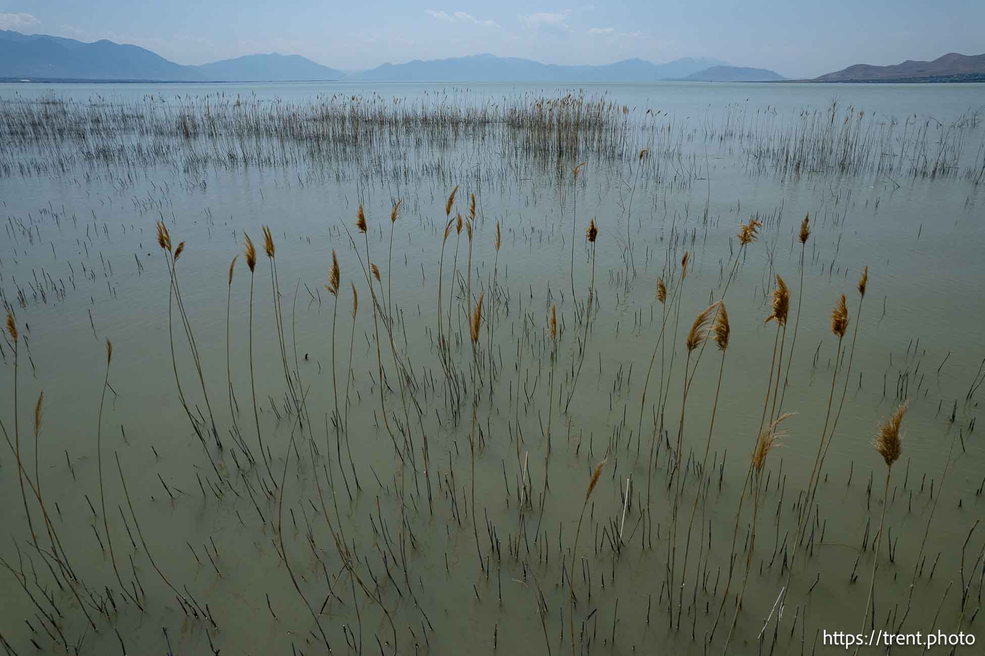 North Shore, Utah Lake