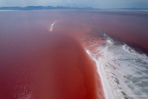 (Trent Nelson  |  The Salt Lake Tribune) The shore of the Great Salt Lake on the west side of Stansbury Island on Saturday, July 27, 2024.