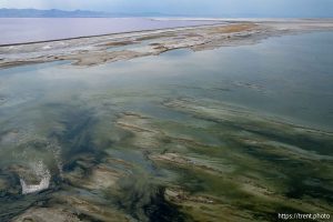 (Trent Nelson  |  The Salt Lake Tribune) The Great Salt Lake north of Stansbury Island on Saturday, July 27, 2024.