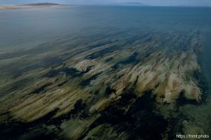 (Trent Nelson  |  The Salt Lake Tribune) The Great Salt Lake north of Stansbury Island on Saturday, July 27, 2024.