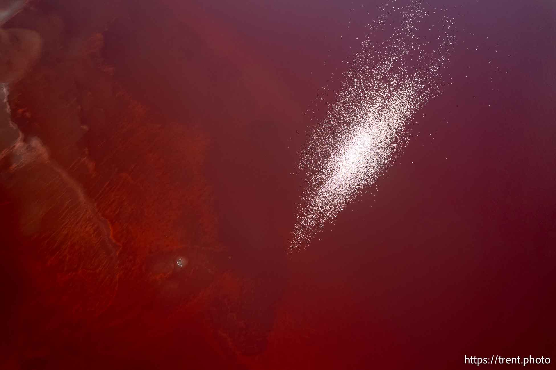 (Trent Nelson  |  The Salt Lake Tribune) The Great Salt Lake west of Stansbury Island on Saturday, July 27, 2024.