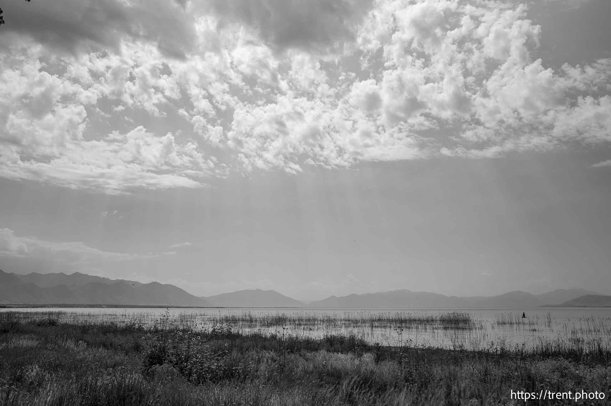 (Trent Nelson | The Salt Lake Tribune) The north shore of Utah Lake on Saturday, July 27, 2024.