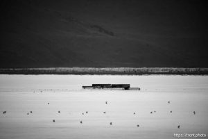 Great Salt Lake south of Stansbury Island, Saturday July 27, 2024.