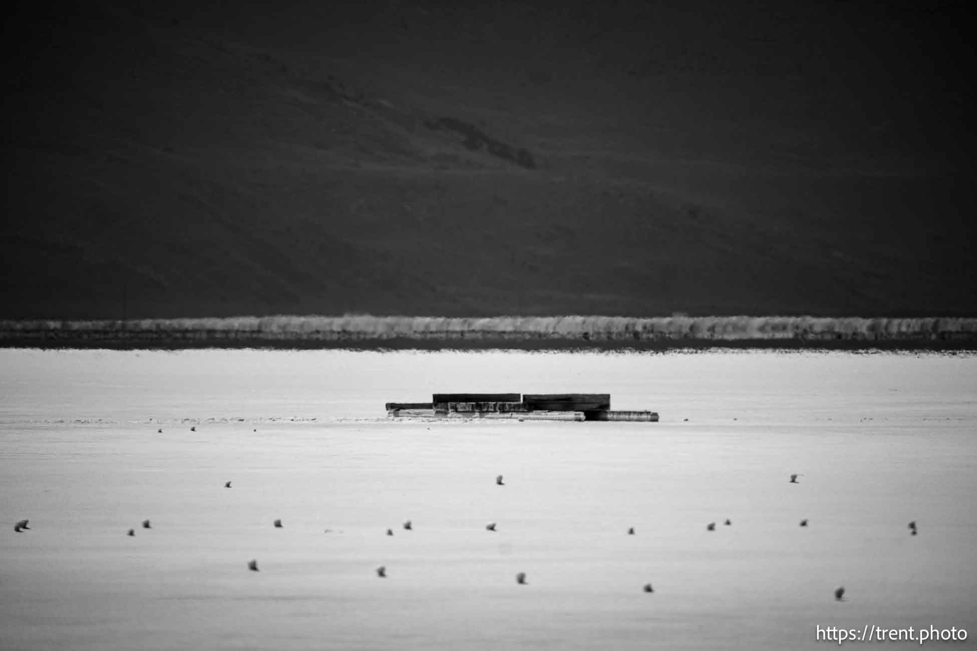 Great Salt Lake south of Stansbury Island, Saturday July 27, 2024.