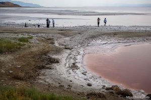 (Trent Nelson  |  The Salt Lake Tribune) The shore of the Great Salt Lake on the west side of  Stansbury Island on Saturday, July 27, 2024.