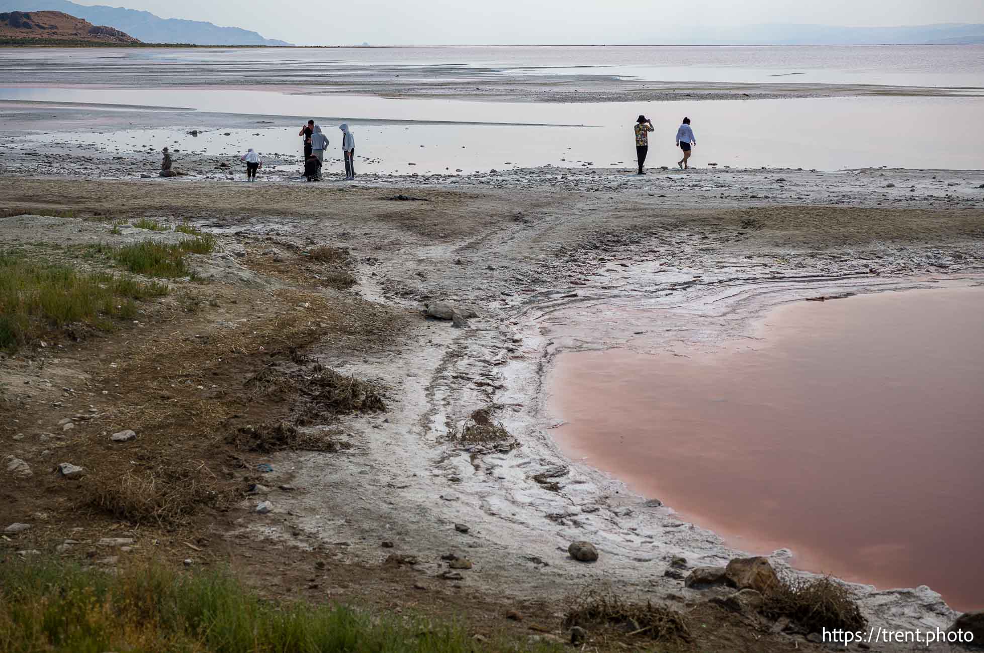 (Trent Nelson  |  The Salt Lake Tribune) The shore of the Great Salt Lake on the west side of  Stansbury Island on Saturday, July 27, 2024.