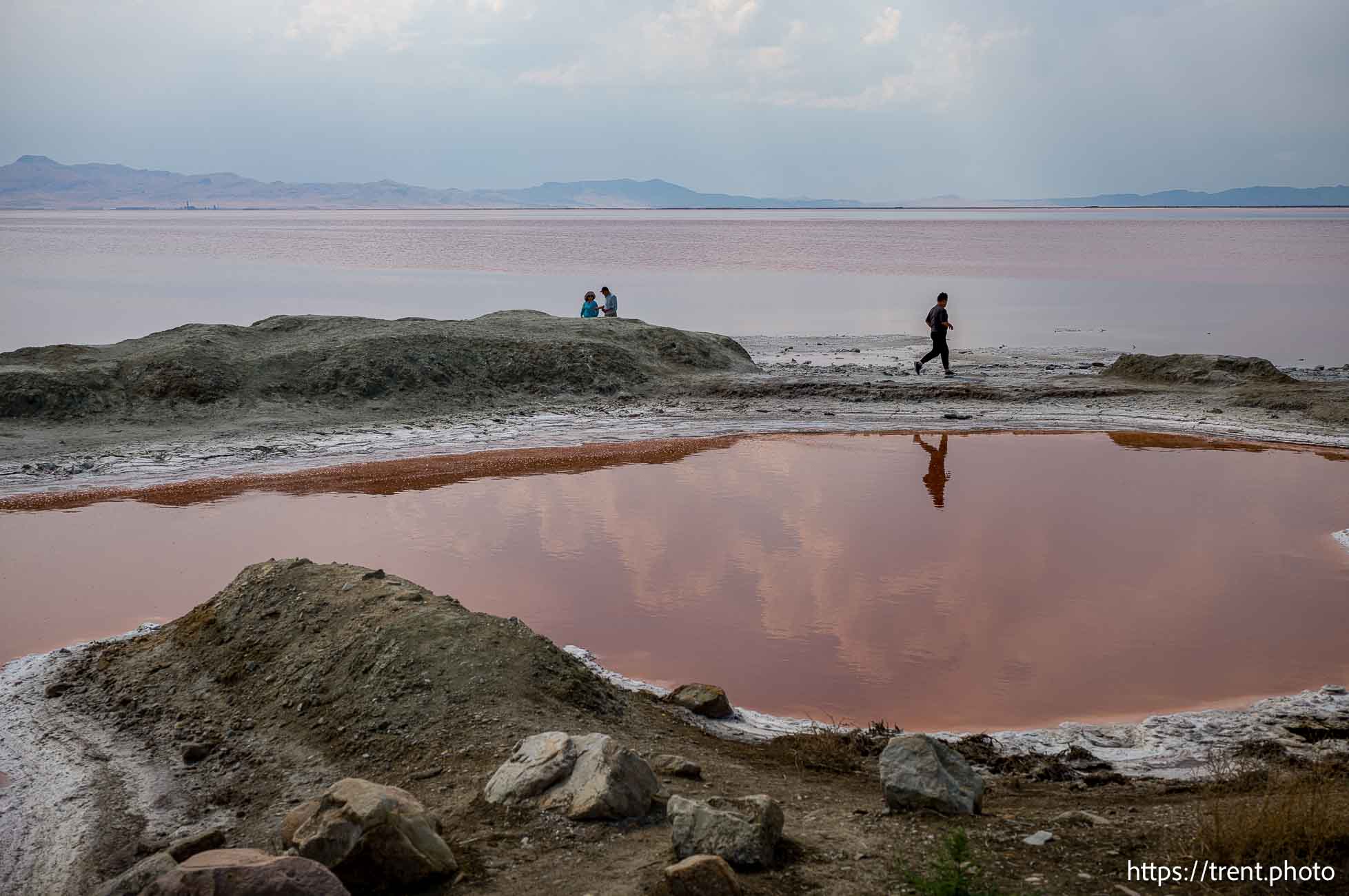 (Trent Nelson  |  The Salt Lake Tribune) The shore of the Great Salt Lake on the west side of  Stansbury Island on Saturday, July 27, 2024.