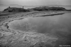 (Trent Nelson  |  The Salt Lake Tribune) The shore of the Great Salt Lake on the west side of  Stansbury Island on Saturday, July 27, 2024.