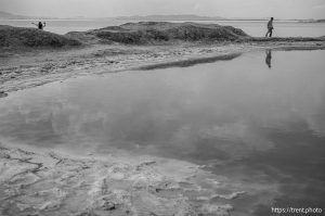 (Trent Nelson  |  The Salt Lake Tribune) The shore of the Great Salt Lake on the west side of  Stansbury Island on Saturday, July 27, 2024.