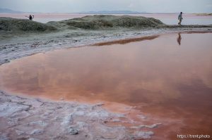 (Trent Nelson  |  The Salt Lake Tribune) The shore of the Great Salt Lake on the west side of  Stansbury Island on Saturday, July 27, 2024.