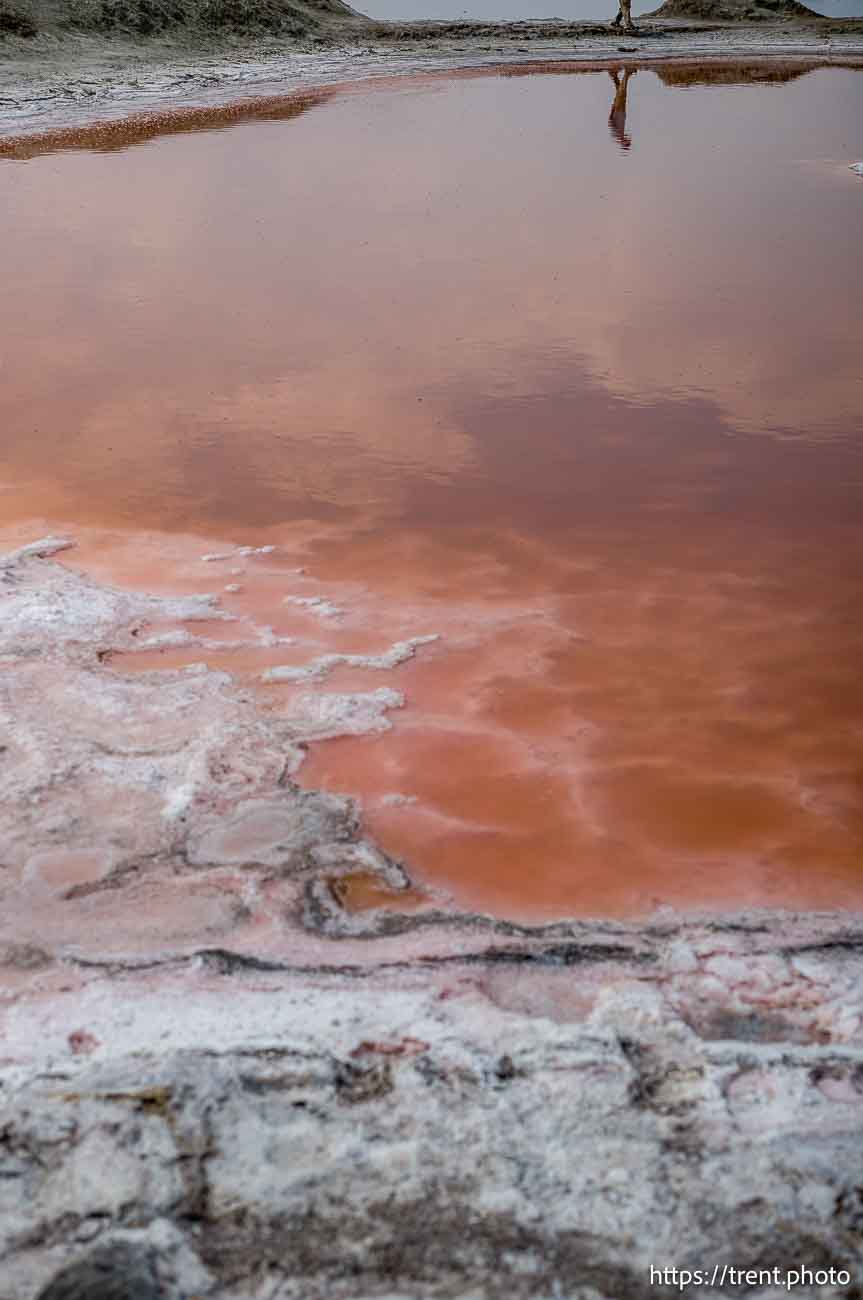 (Trent Nelson  |  The Salt Lake Tribune) The shore of the Great Salt Lake on the west side of  Stansbury Island on Saturday, July 27, 2024.