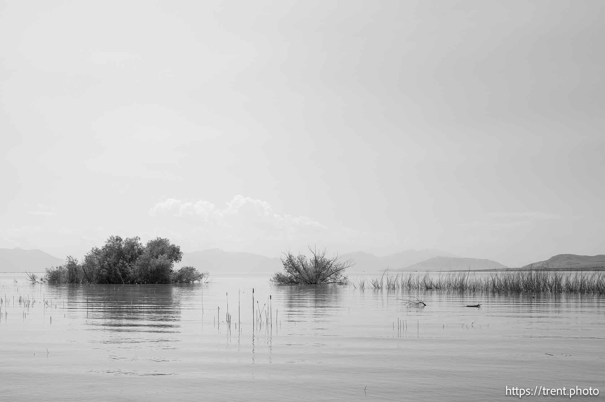 Utah Lake, Saturday July 27, 2024.