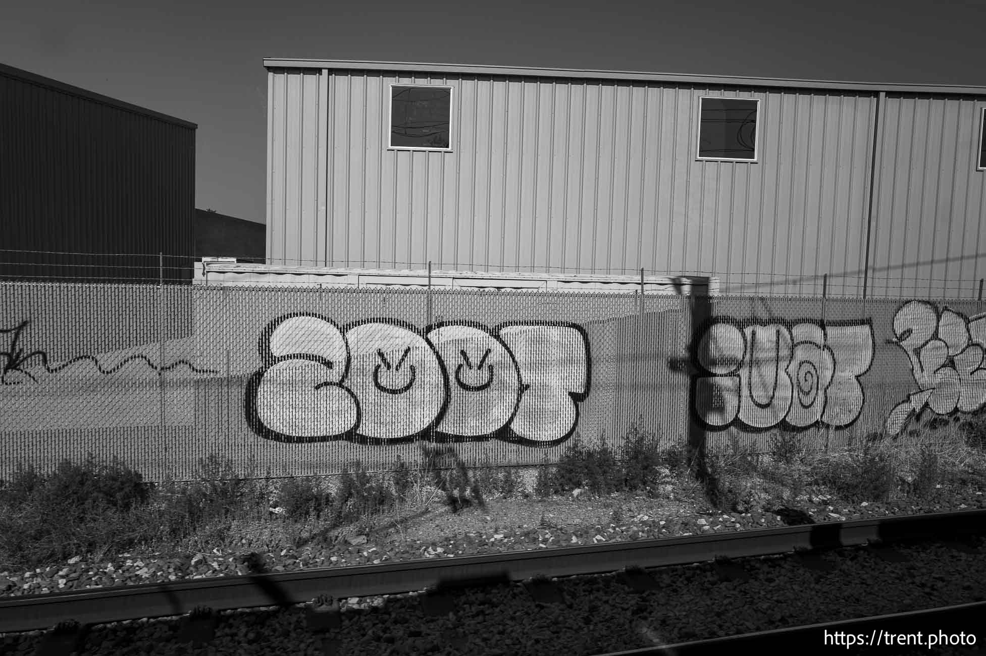 graffiti, TRAX in Salt Lake City on Friday, Aug. 2, 2024.