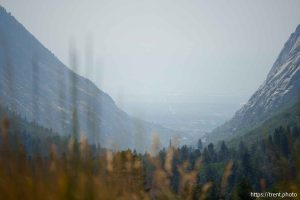 (Trent Nelson  |  The Salt Lake Tribune) The view from Little Cottonwood Canyon as smoke from wildfires fills the Salt Lake Valley on Thursday, Aug. 8, 2024.