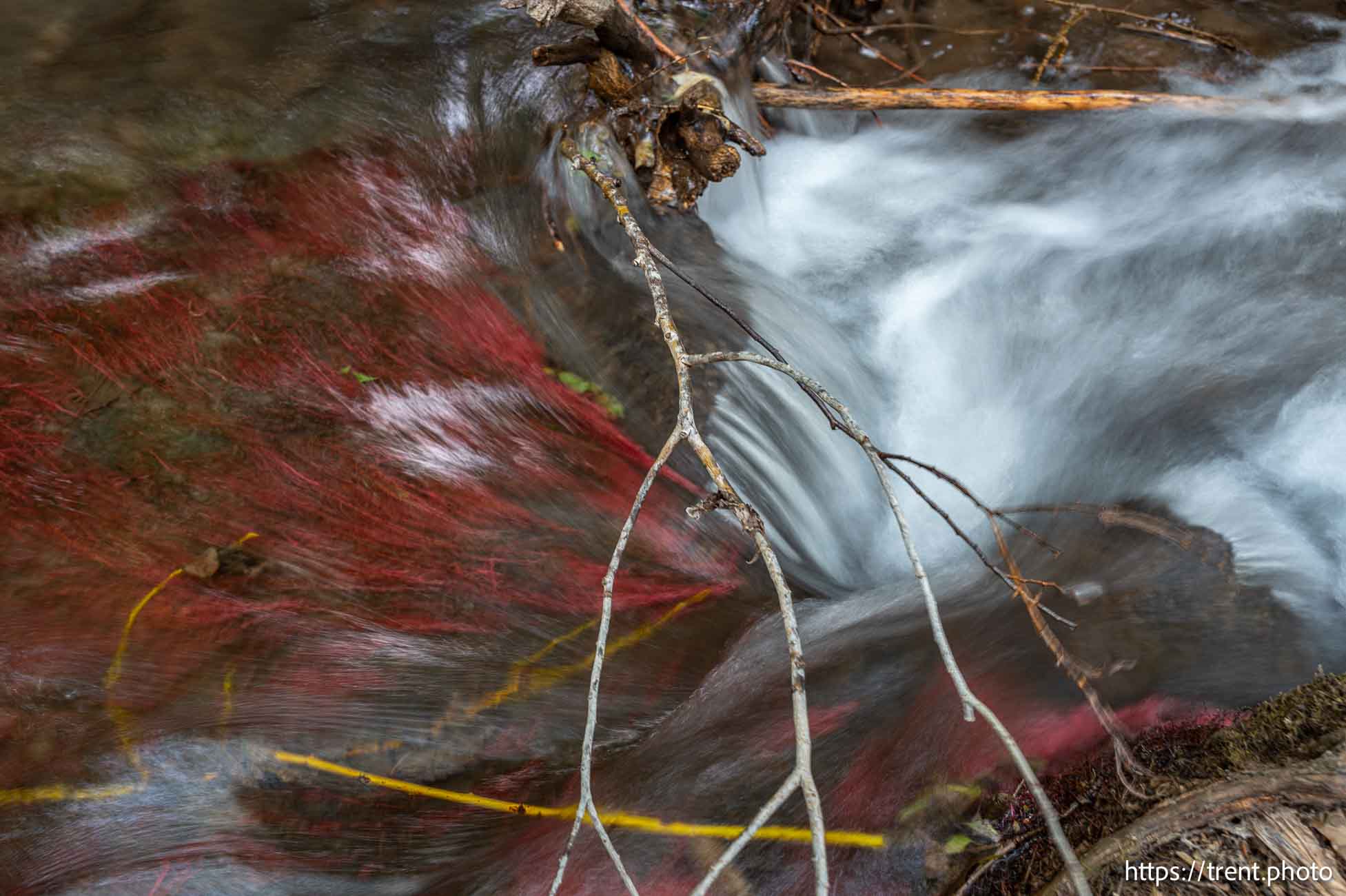 Creek at Westminster College in Salt Lake City on Sunday, Aug. 11, 2024.