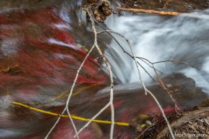 Creek at Westminster College in Salt Lake City on Sunday, Aug. 11, 2024.