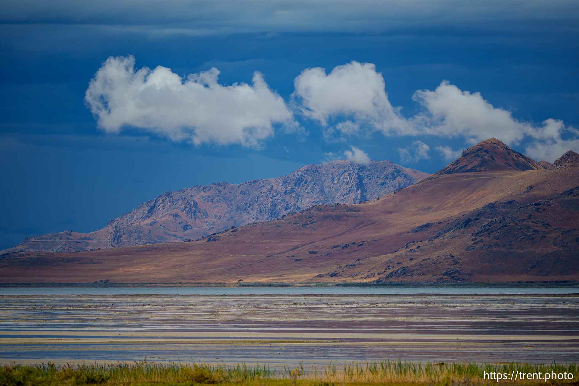 Antelope Island, Saturday August 17, 2024.